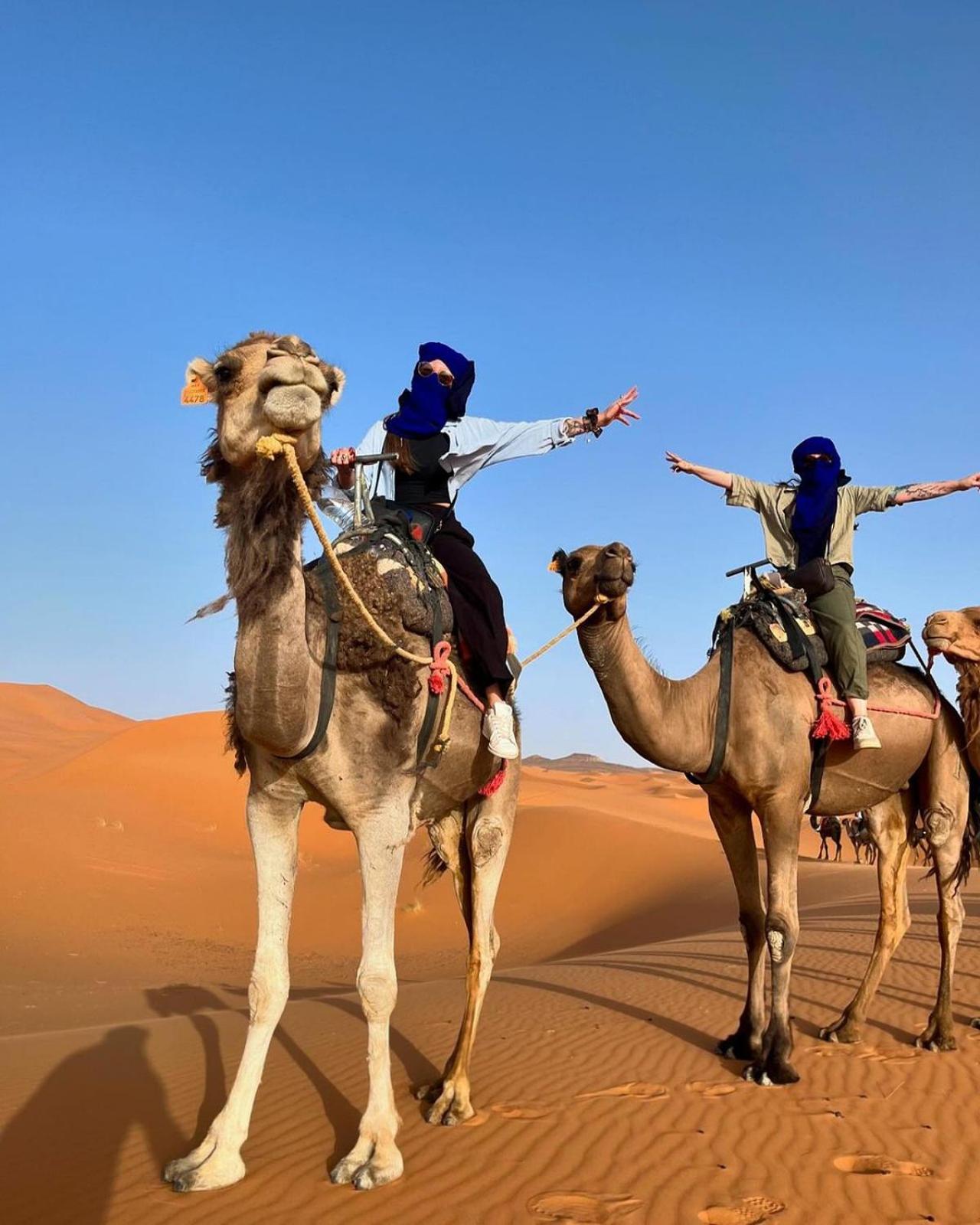 desert adventures Merzouga Exterior foto